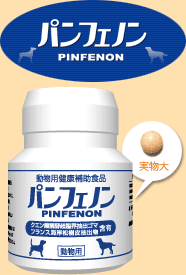 パンフェノン
