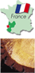̕aČNuptFmvʐ^